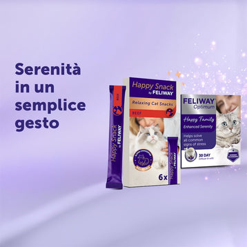 manzo