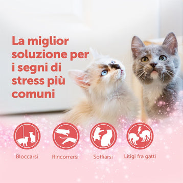 FELIWAY® Friends - Starter Kit