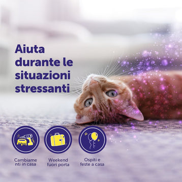FELIWAY® Help!