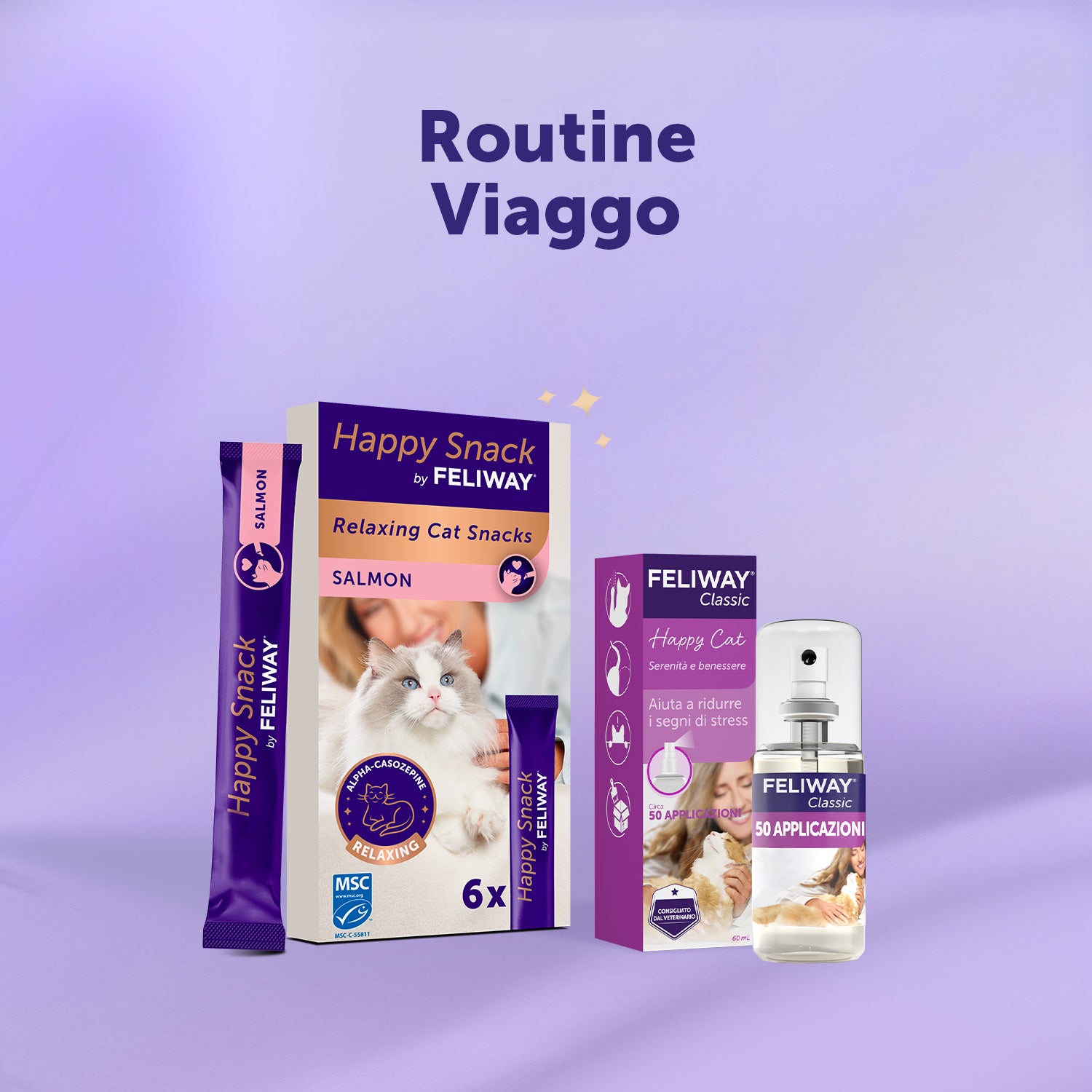 Routine Viaggio - Salmone x6