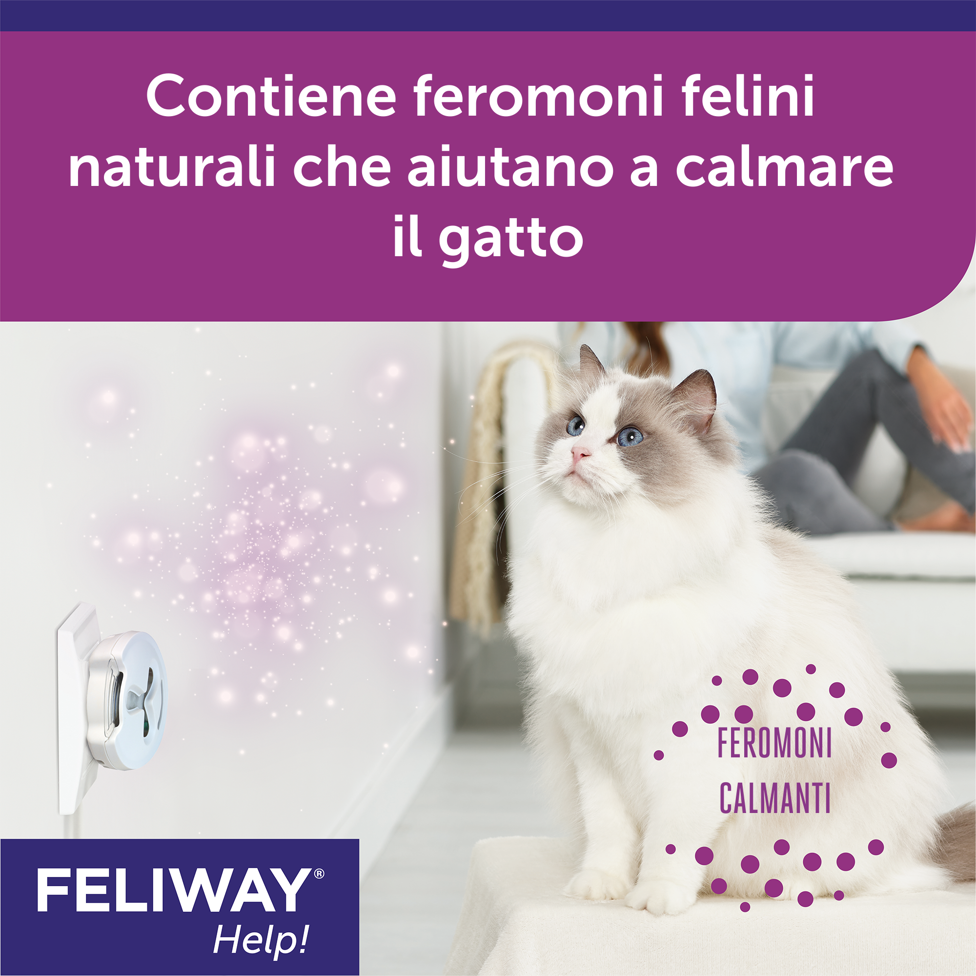 Starter kit diffusore calmo gatto ottimale FELIWAY - Italy