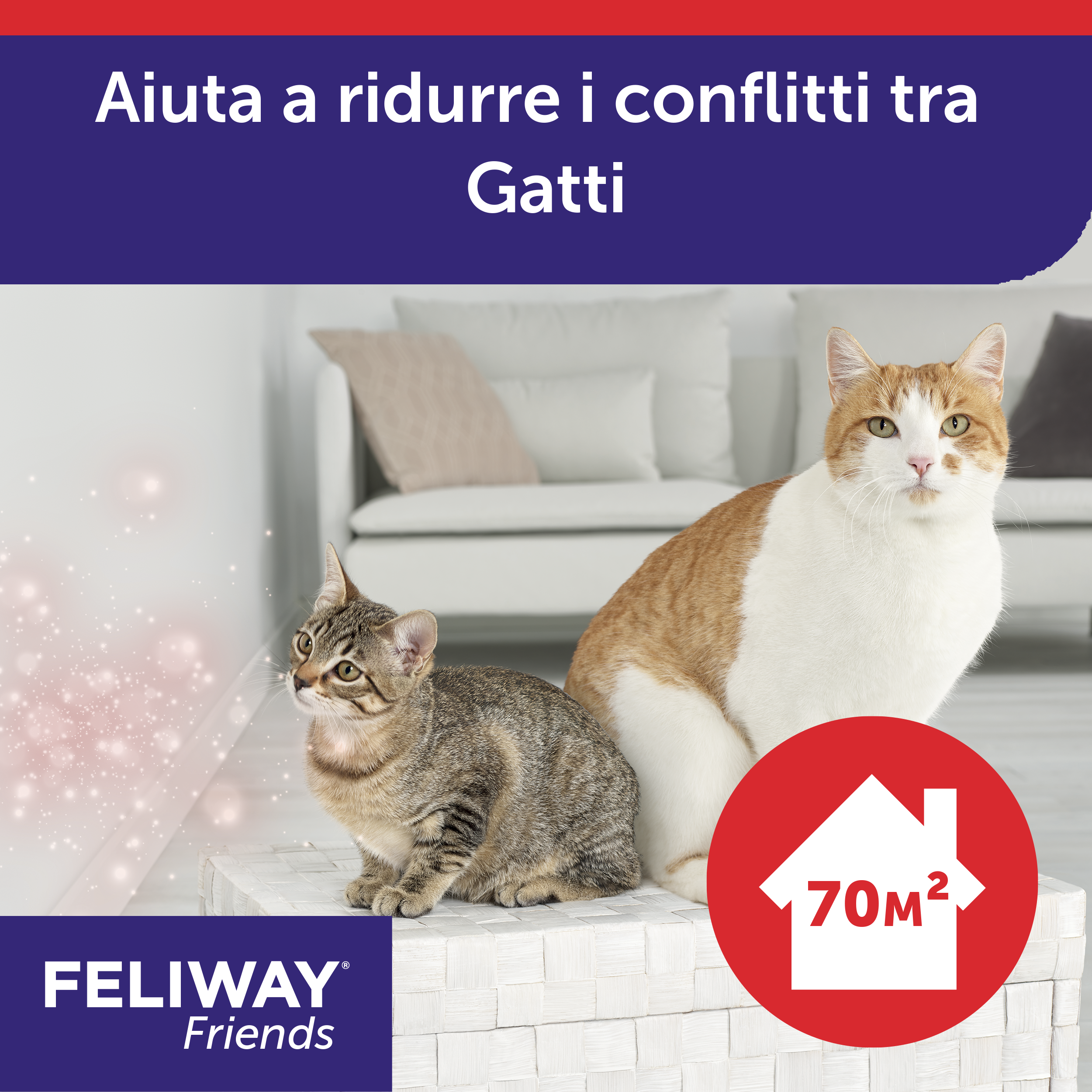 Feliway Friends Starter Kit - Diffusore più Ricarica